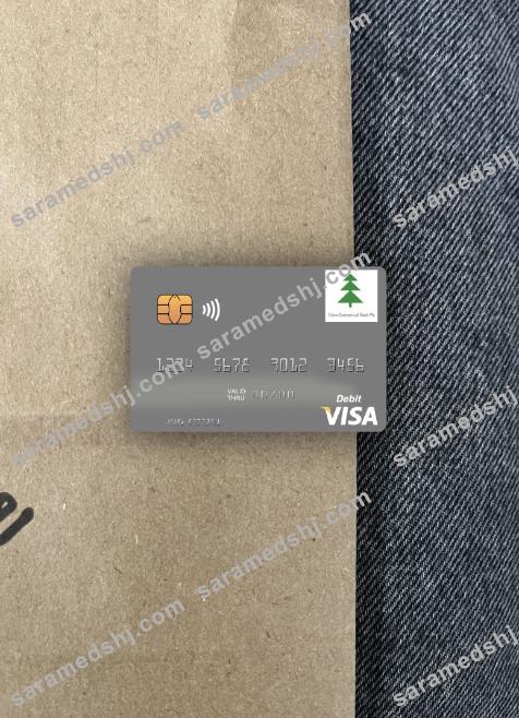South Sudan Eden Commercial Bank visa debit card photolook front